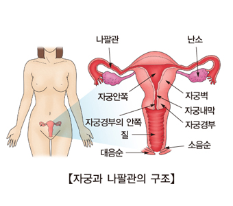 희발월경